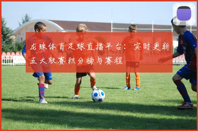 龙珠体育足球直播平台：实时更新五大联赛积分榜与赛程