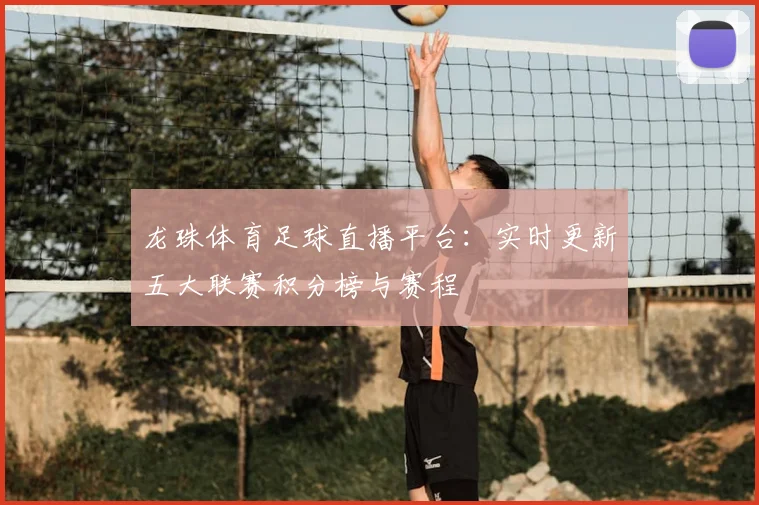 龙珠体育足球直播平台：实时更新五大联赛积分榜与赛程