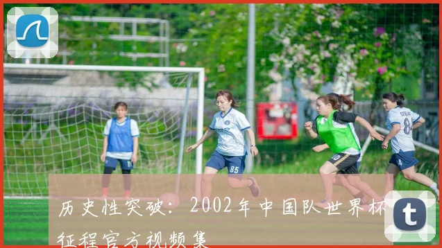 历史性突破：2002年中国队世界杯征程官方视频集