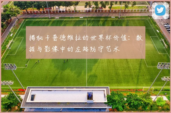 揭秘卡普德维拉的世界杯价值：数据与影像中的左路防守艺术