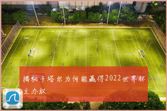 揭秘卡塔尔为何能赢得2022世界杯主办权