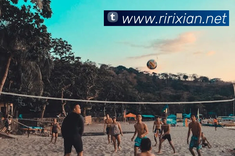 云开体app官网登录入口APP 封面图